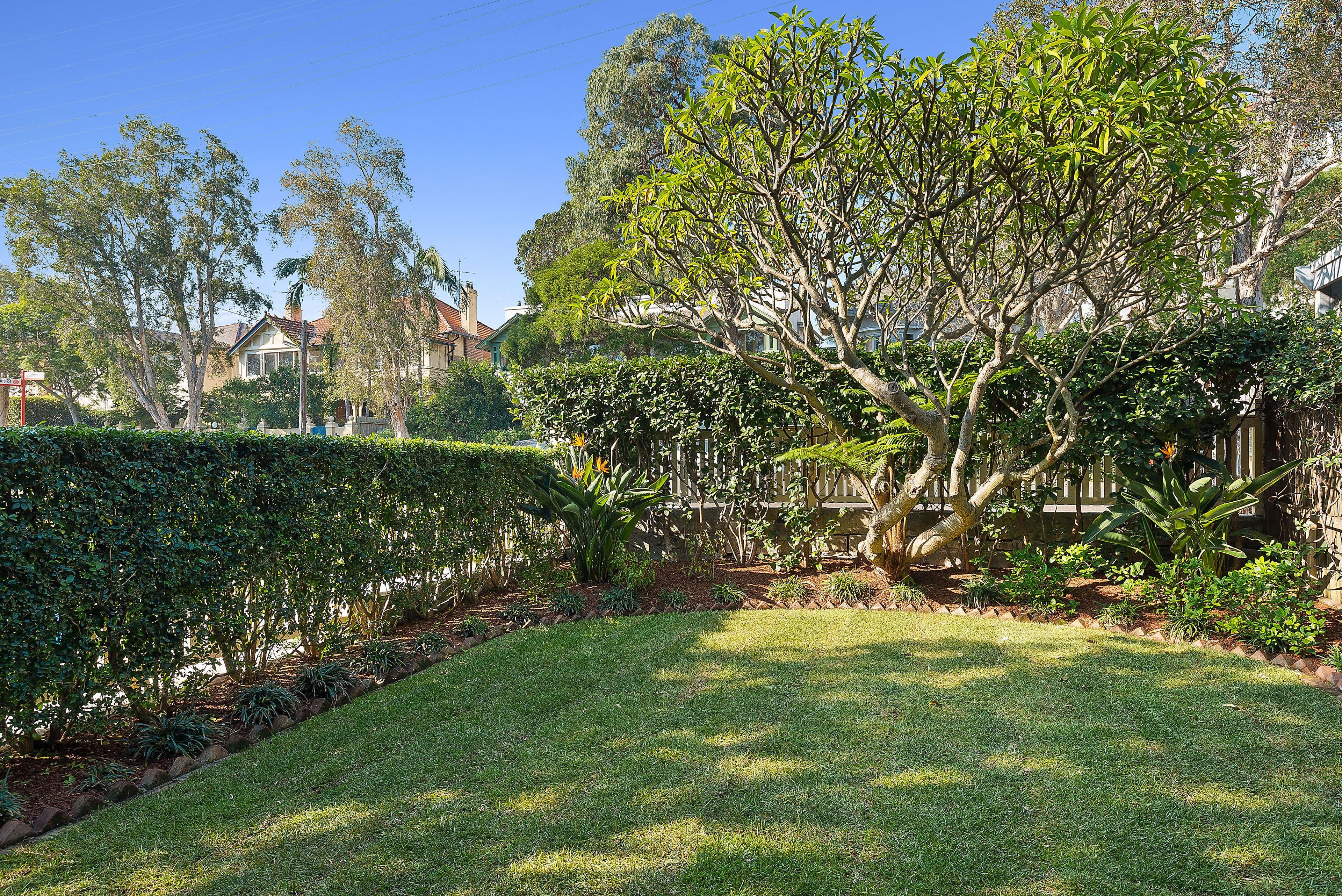 62 Cremorne Road, Cremorne Point - Thumbnail 4