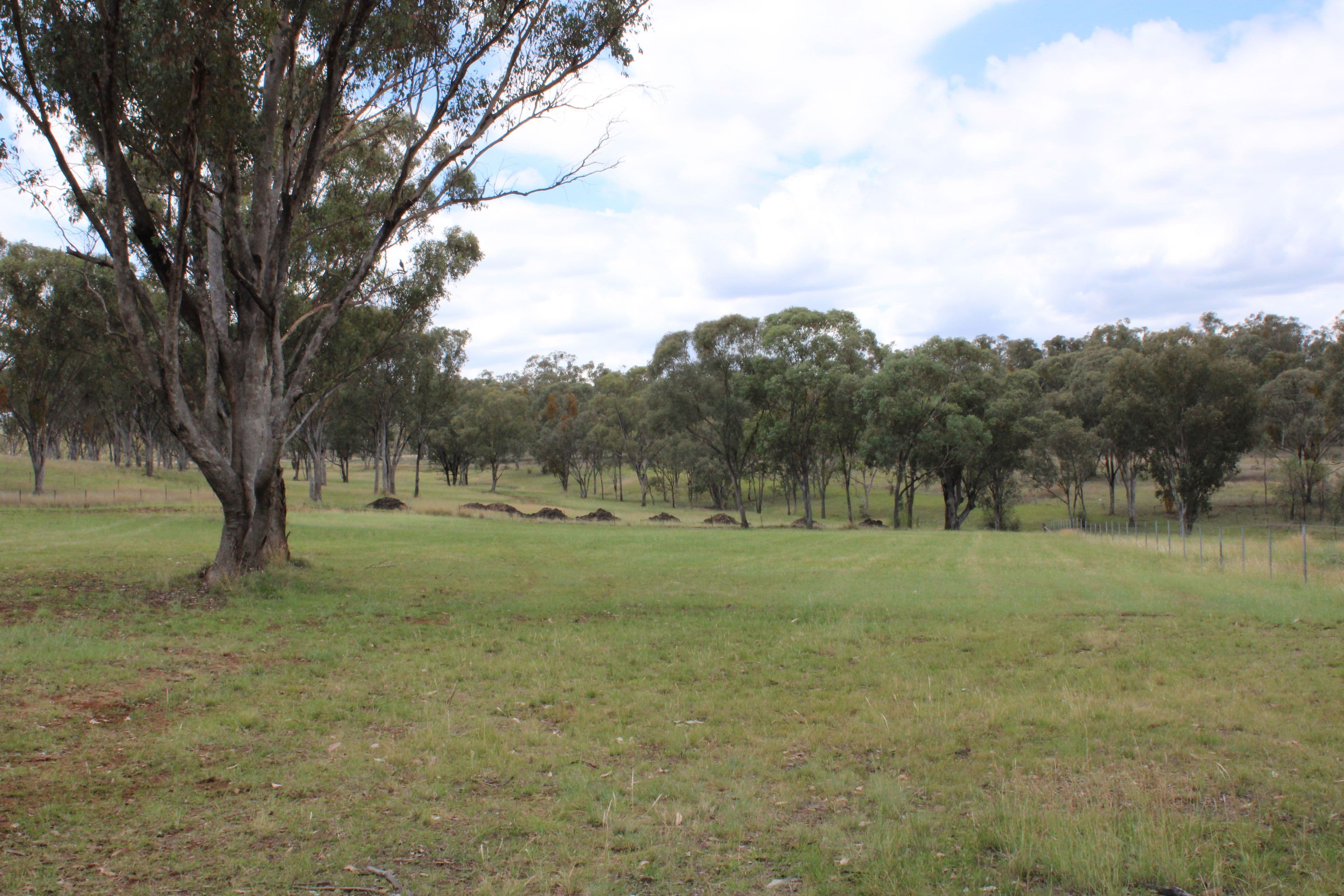 Lot 13 Bimbadeen Drive, Inverell NSW 2360, Inverell - Thumbnail 2