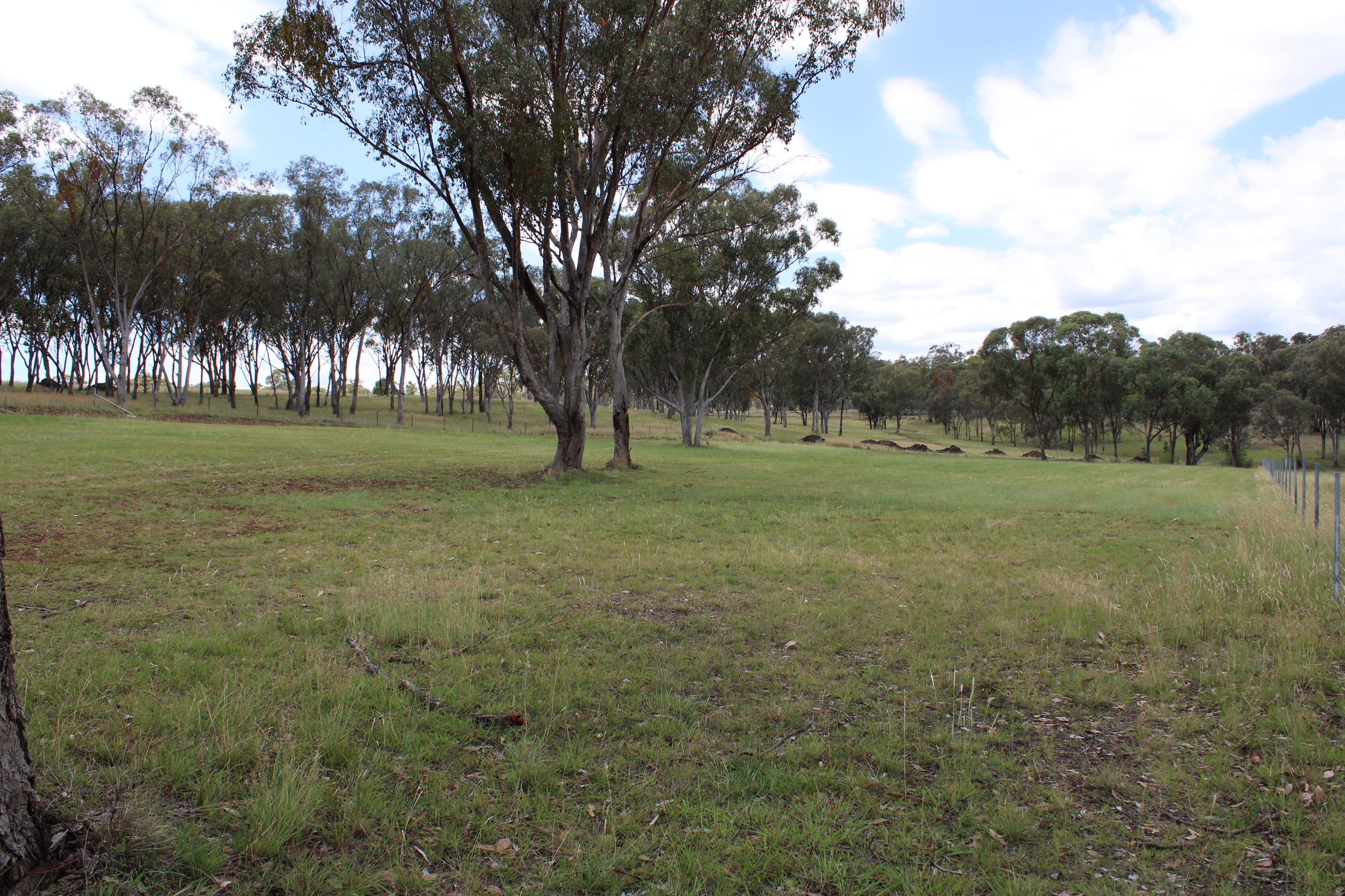 Lot 13 Bimbadeen Drive, Inverell NSW 2360, Inverell - Thumbnail 3