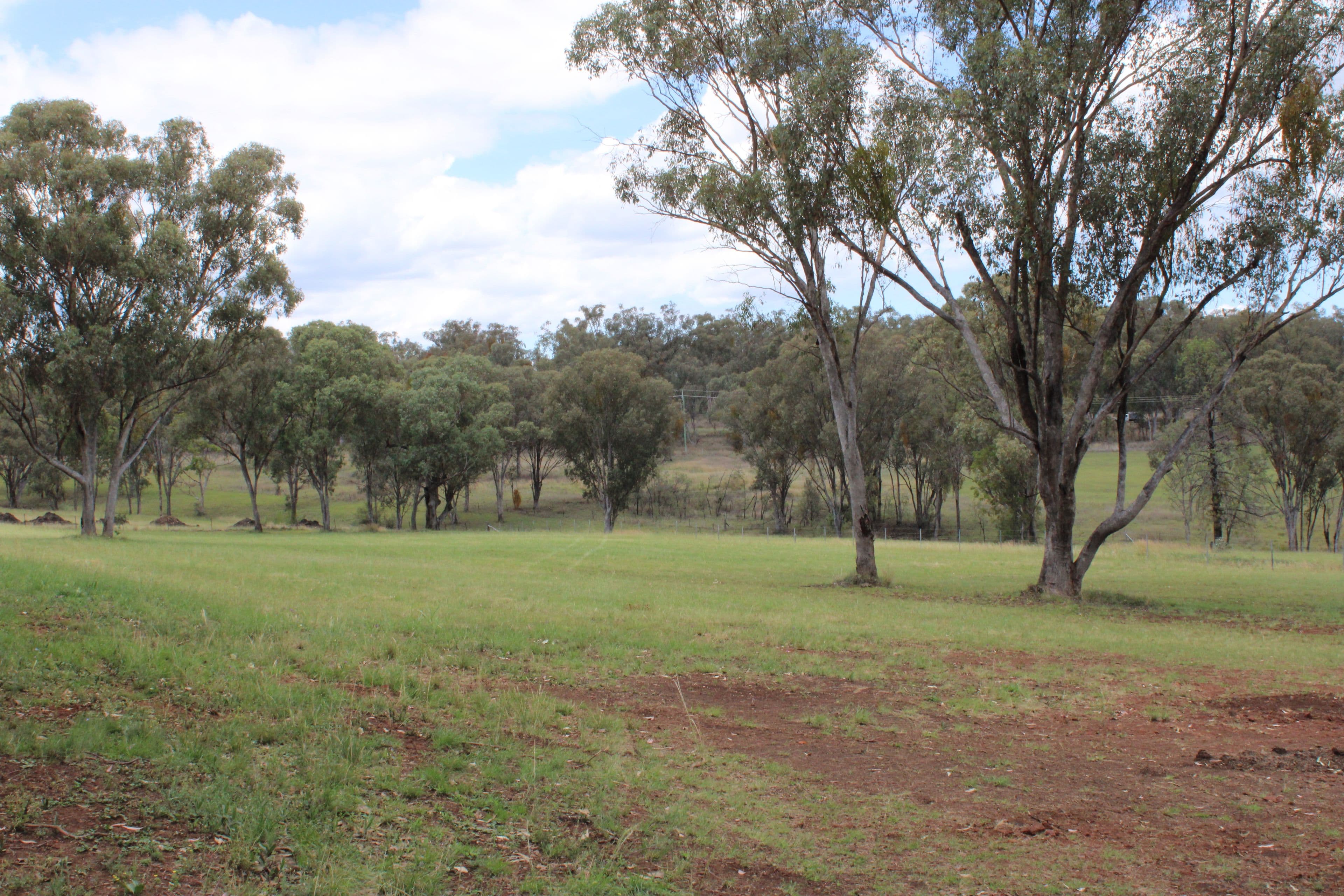 Lot 13 Bimbadeen Drive, Inverell NSW 2360, Inverell - Thumbnail 4