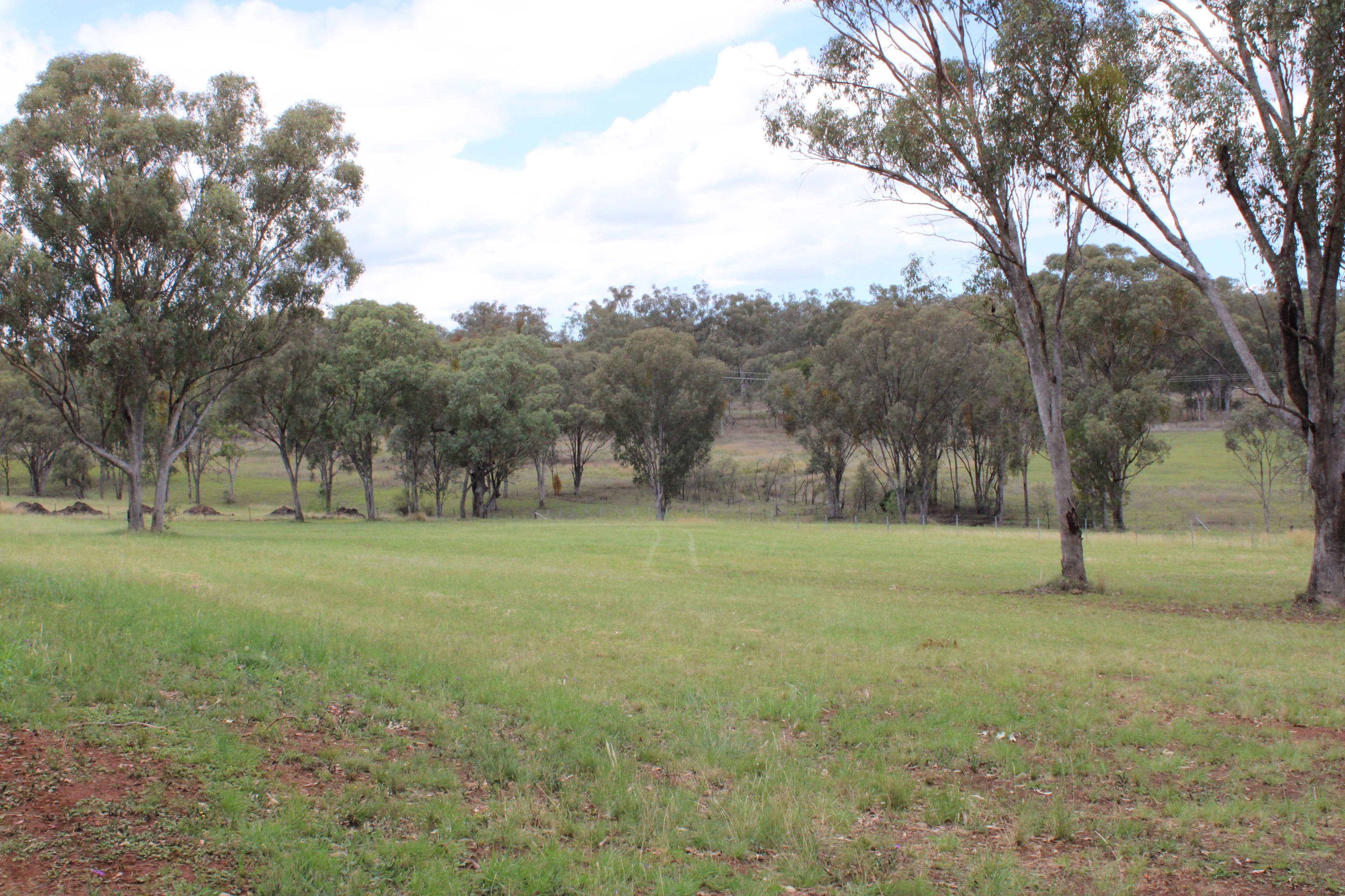 Lot 13 Bimbadeen Drive, Inverell NSW 2360, Inverell - Thumbnail 5