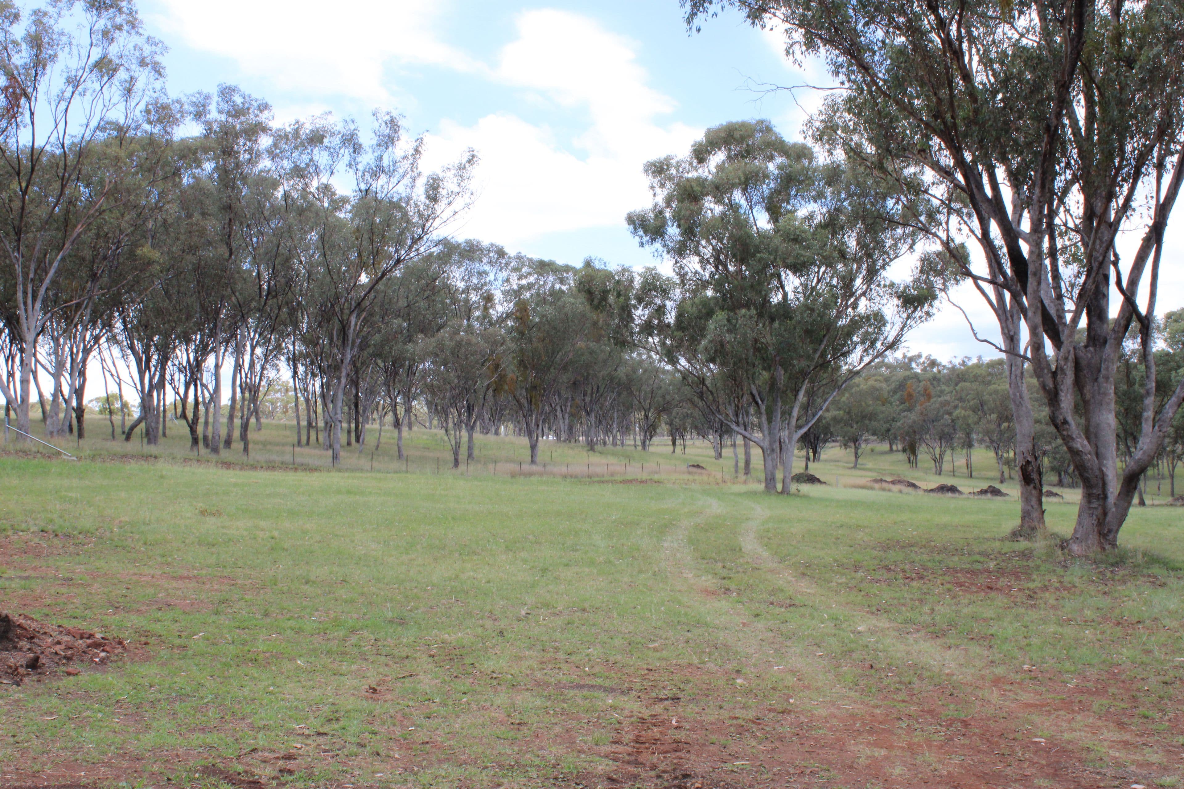 Lot 13 Bimbadeen Drive, Inverell NSW 2360, Inverell - Thumbnail 6