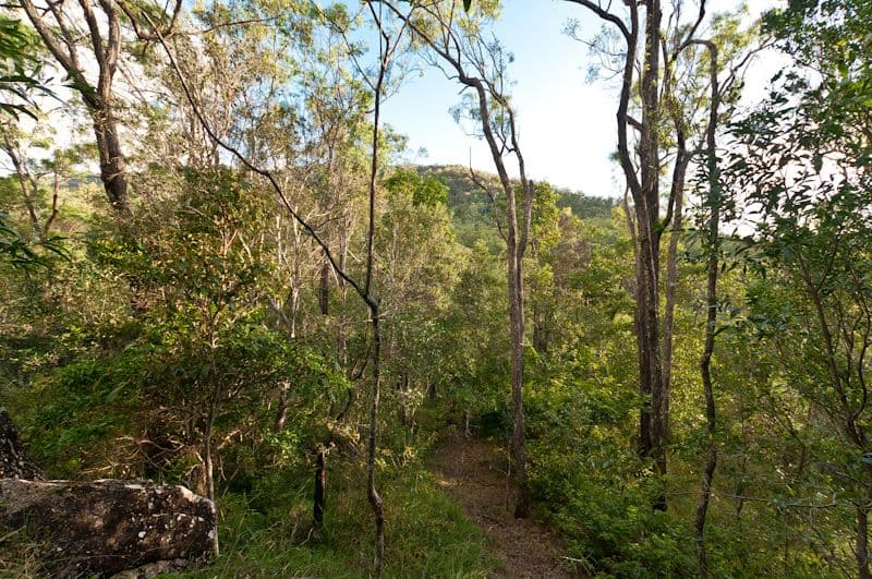 20 Nullamanna Road, SAMFORD QLD 4520, Samford - Thumbnail 8