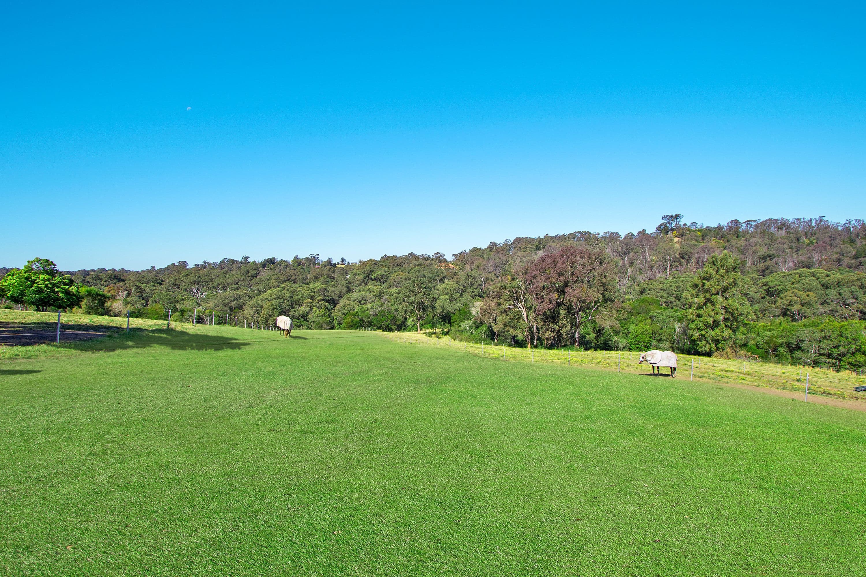 107 Baileys Lane, Kurrajong Hills - Thumbnail 3