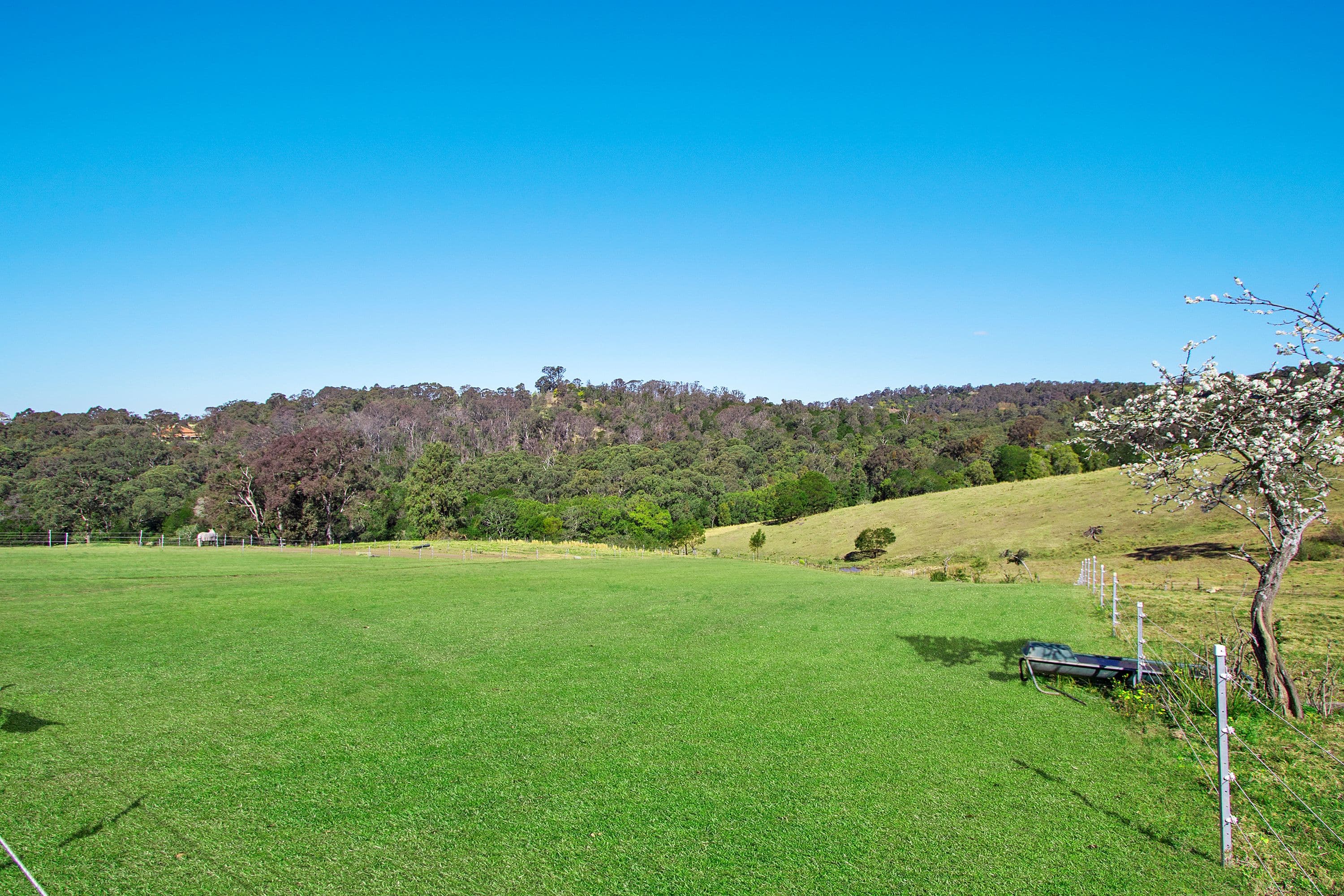 107 Baileys Lane, Kurrajong Hills - Thumbnail 4