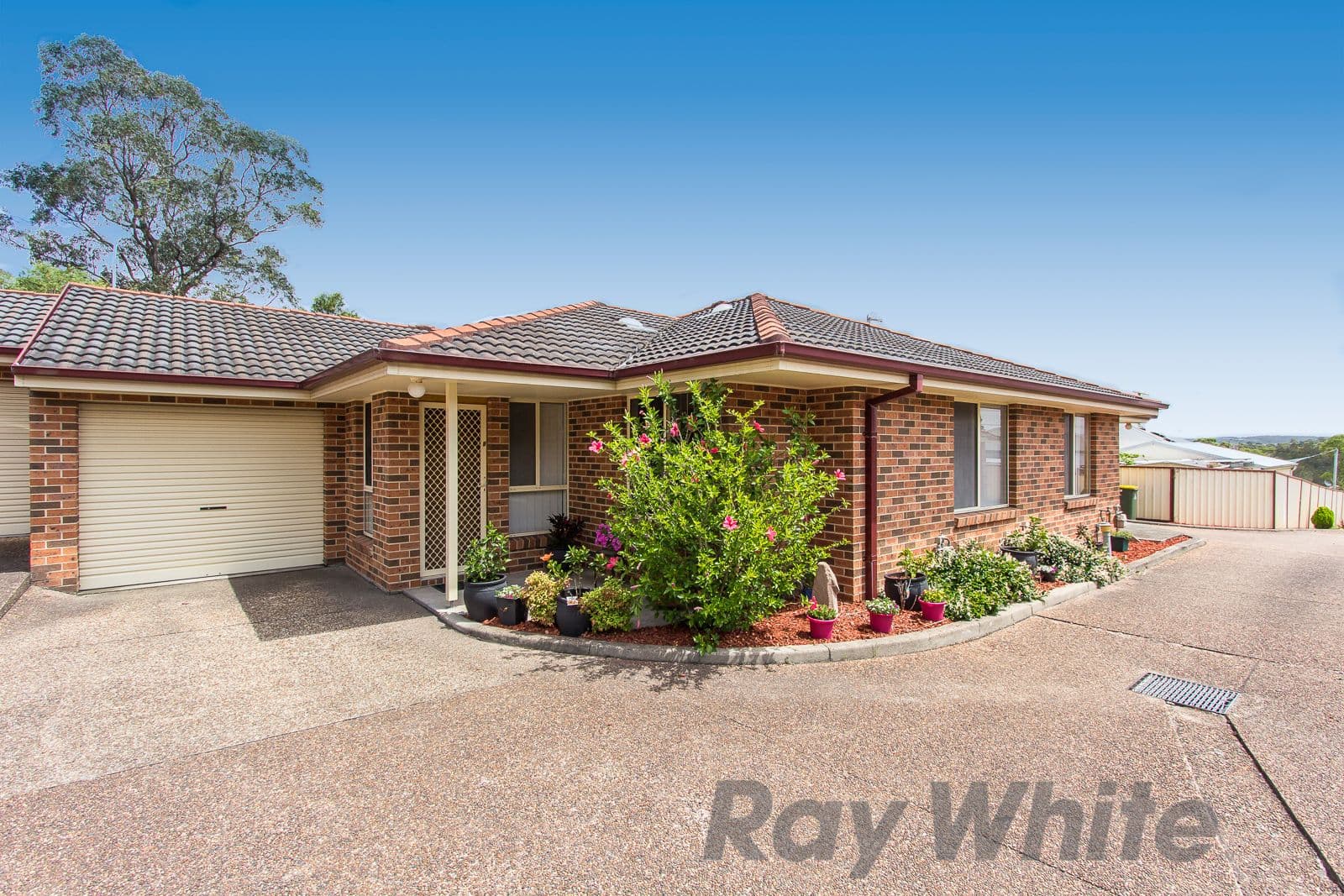36a Mawson Street, Shortland NSW 2307, Shortland - Image 1