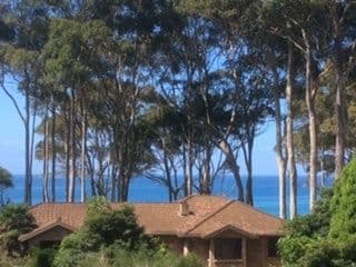 204 George Bass Drive, Lilli Pilli - Thumbnail 4