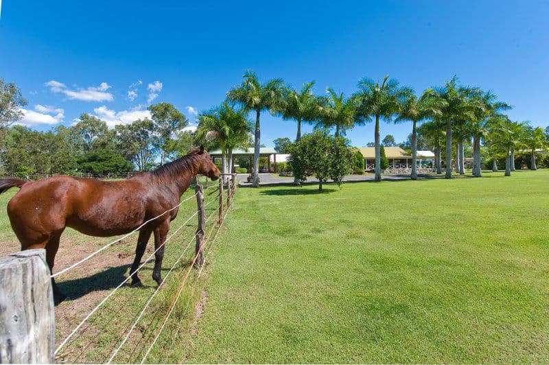 1073 Belmont Road, GLENDALE QLD 4711, Glendale - Thumbnail 2