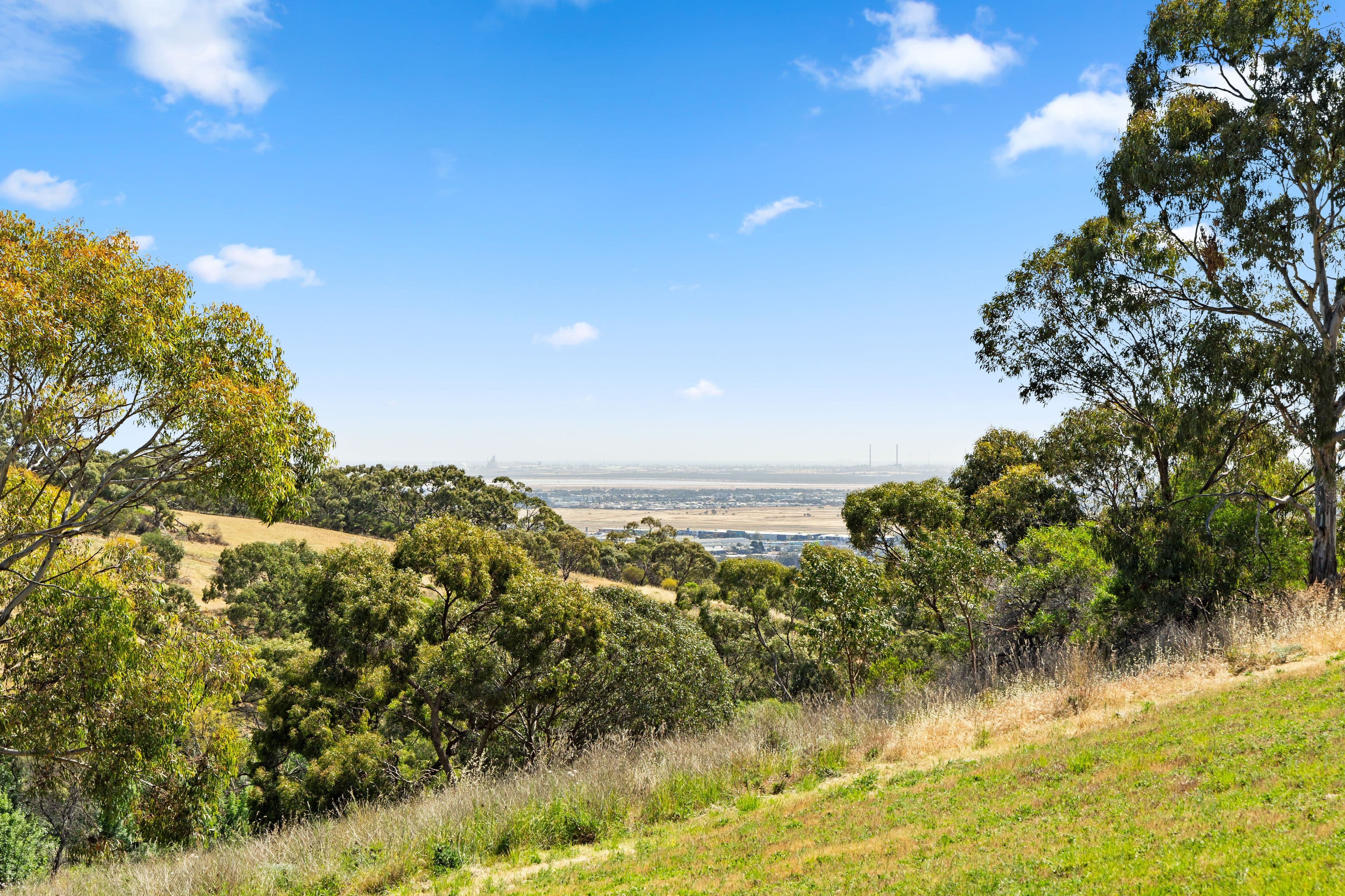 24 Grasslands Court, Wynn Vale SA 5127, Wynn Vale - Thumbnail 6