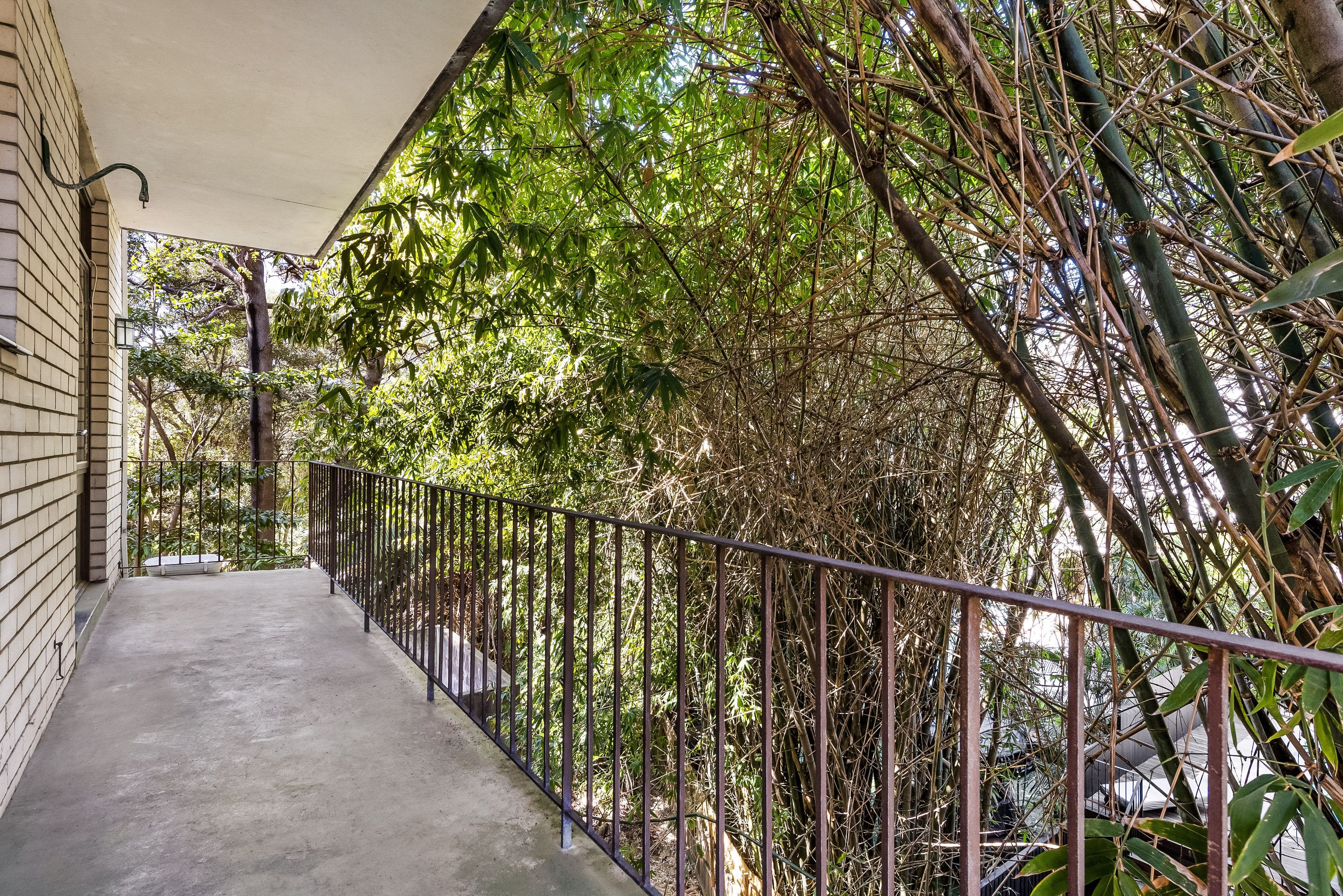 45 Murray Street, Bronte NSW 2024, Bronte - Thumbnail 5