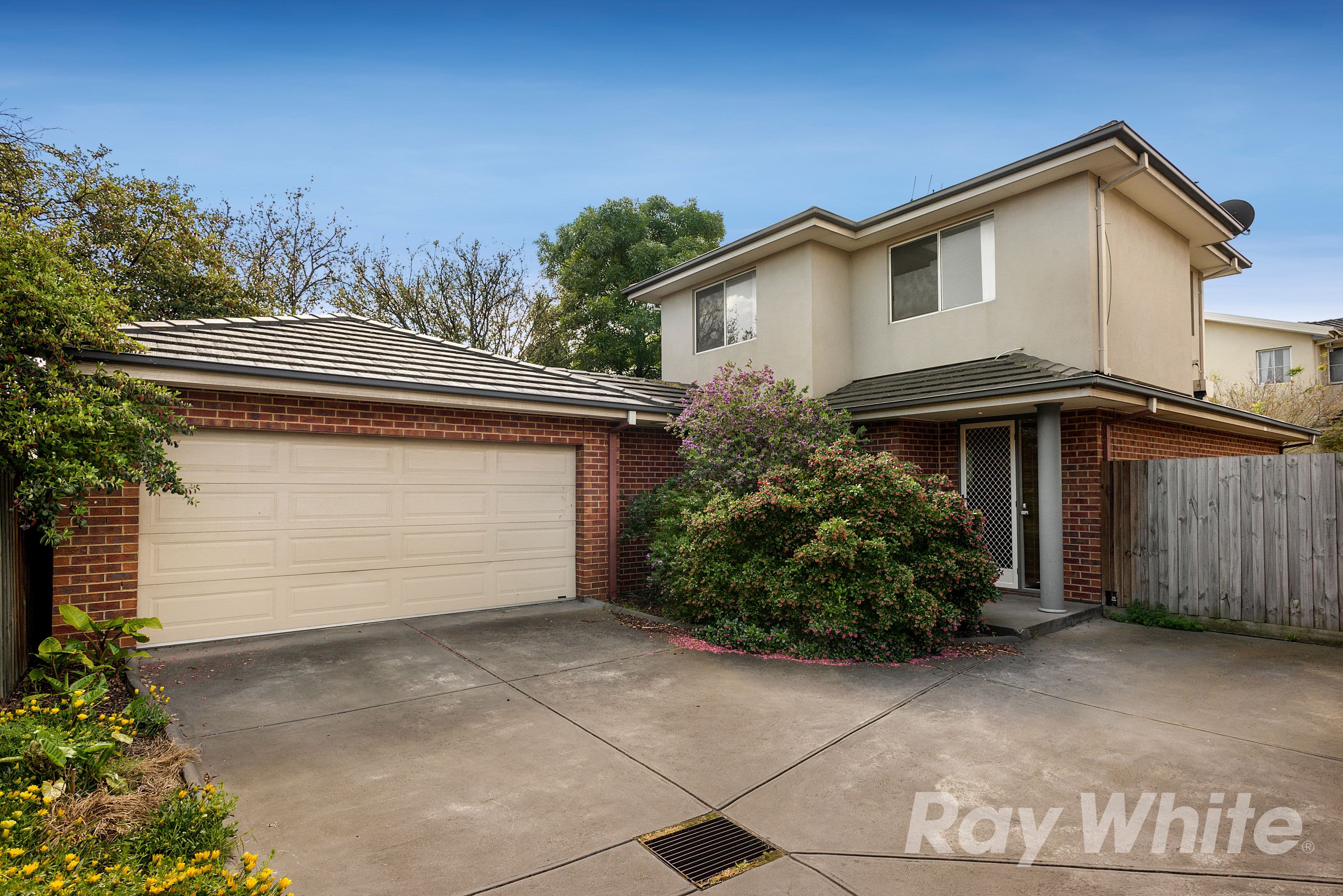 533 Springvale Road, Glen Waverley VIC 3150, Glen Waverley - Image 1
