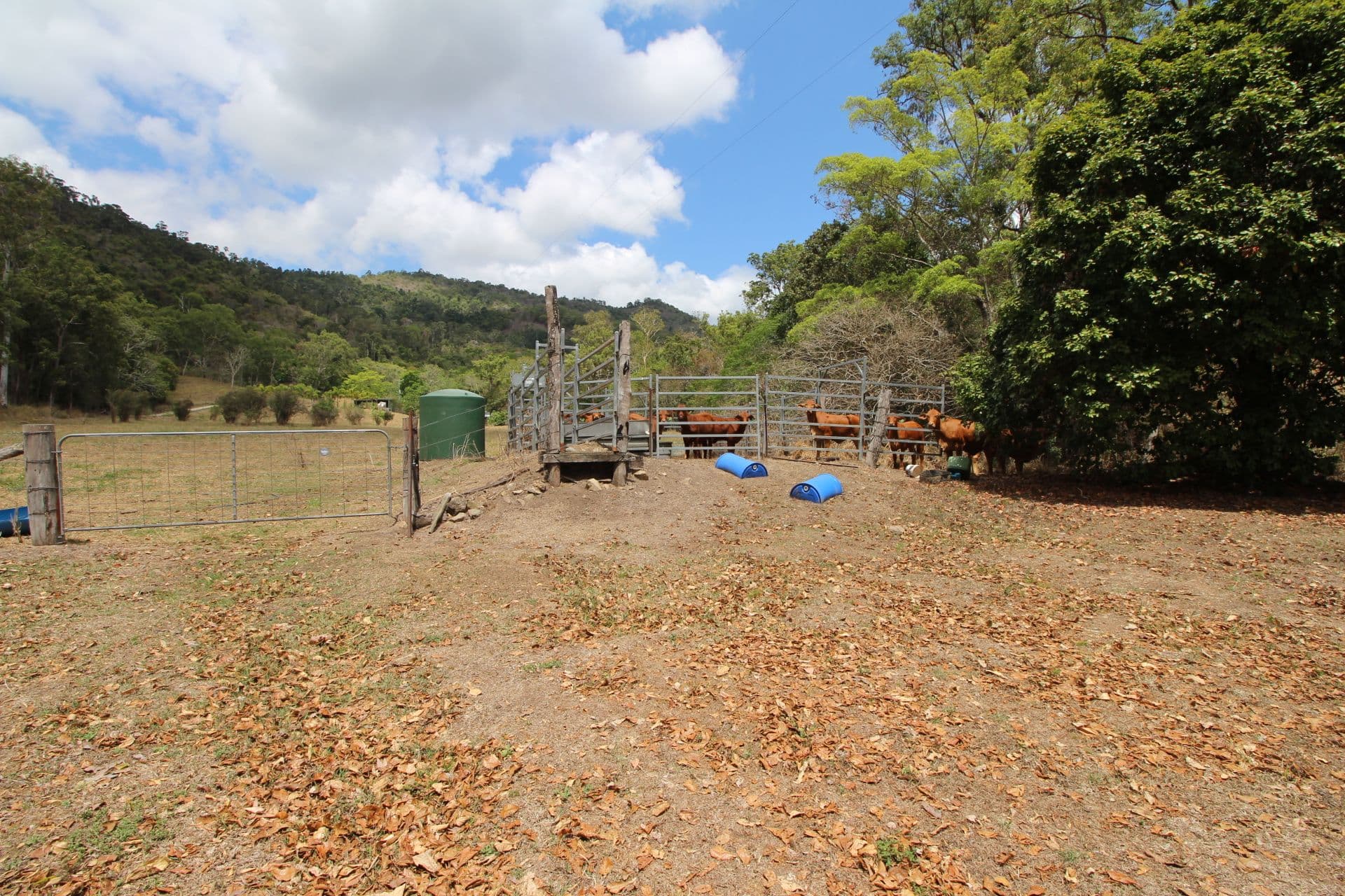 227 Tara Creek Road, Sarina QLD 4737, Sarina - Thumbnail 3