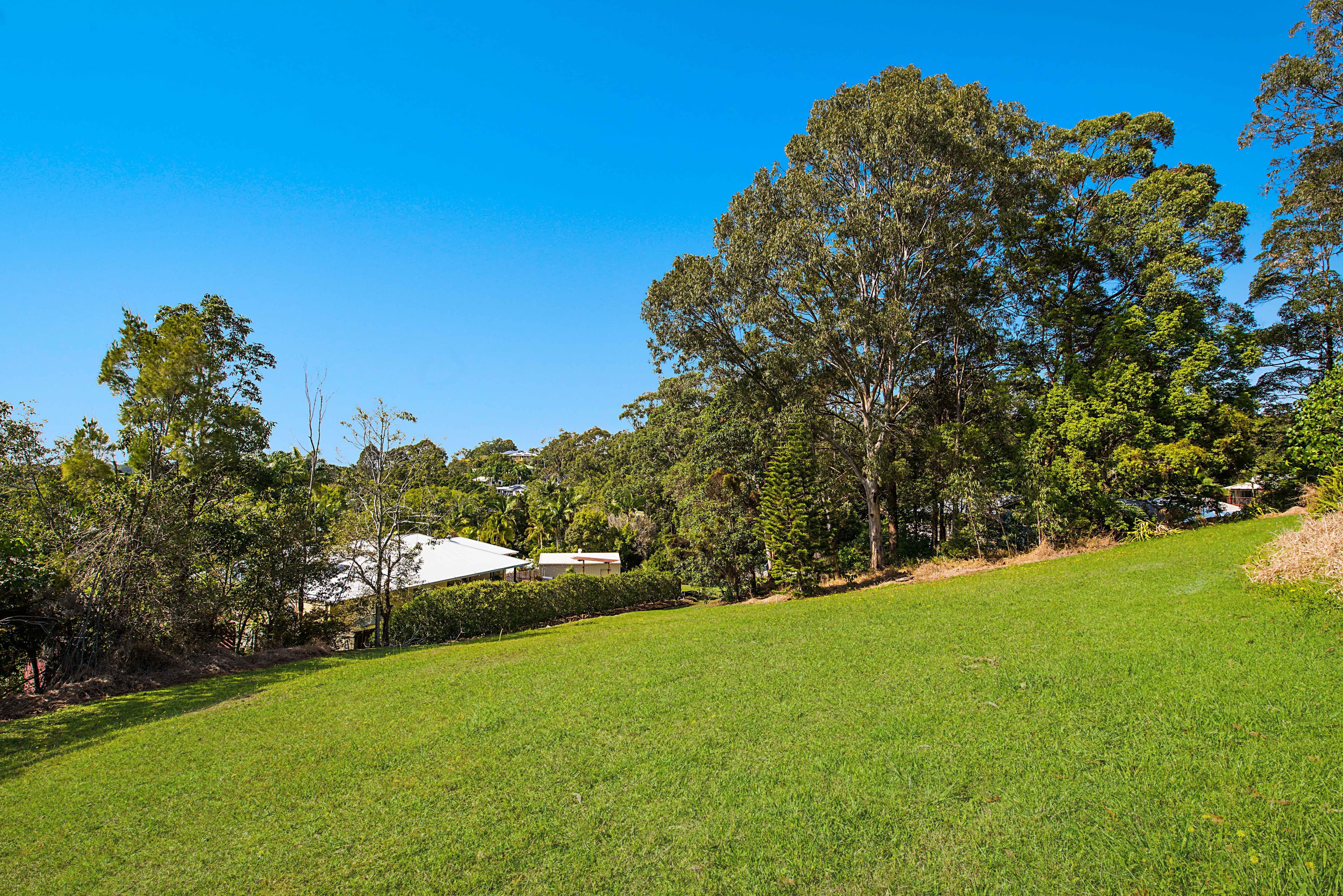 6A Rimu Court, Buderim QLD 4556, Buderim - Thumbnail 5