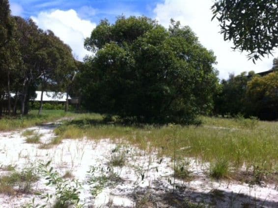 22 Naiad Court, RAINBOW BEACH QLD 4581, Rainbow Beach - Thumbnail 2