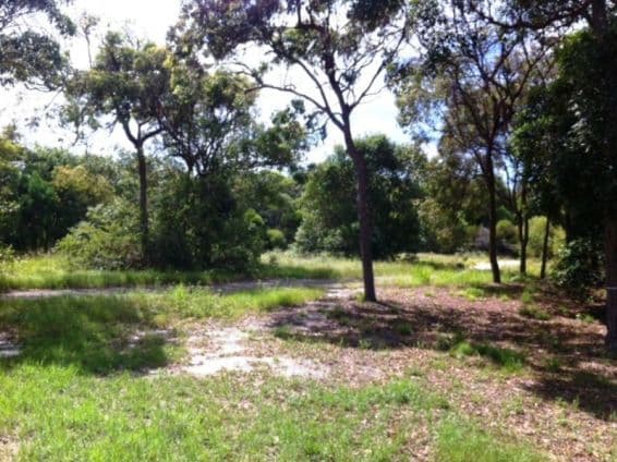 22 Naiad Court, RAINBOW BEACH QLD 4581, Rainbow Beach - Thumbnail 4