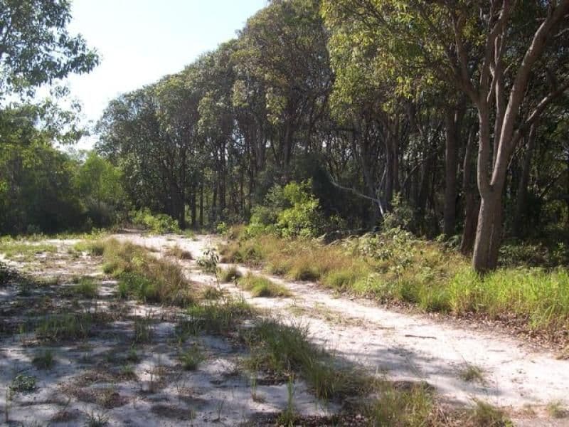 22 Naiad Court, RAINBOW BEACH QLD 4581, Rainbow Beach - Thumbnail 5