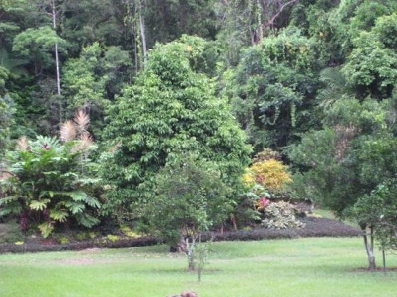 1299 Mossman-Daintree Road, ROCKY POINT QLD 4873, Rocky Point - Thumbnail 2