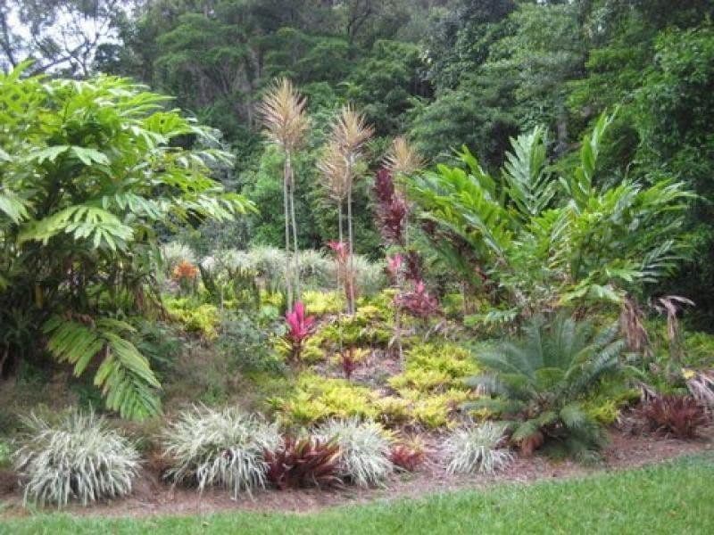 1299 Mossman-Daintree Road, ROCKY POINT QLD 4873, Rocky Point - Thumbnail 3