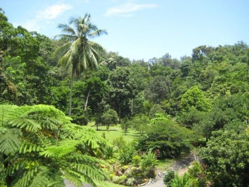 1299 Mossman-Daintree Road, ROCKY POINT QLD 4873, Rocky Point - Thumbnail 4