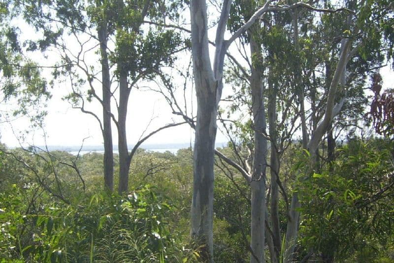 3 Karri Street, Russell Island QLD 4184, Russell Island - Image 1