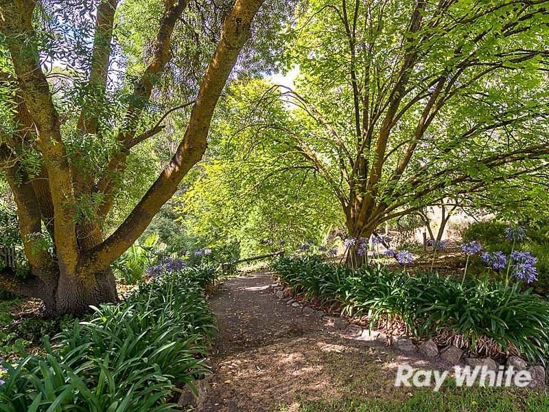 13 Todd Street, Macclesfield SA 5153, Macclesfield - Thumbnail 2