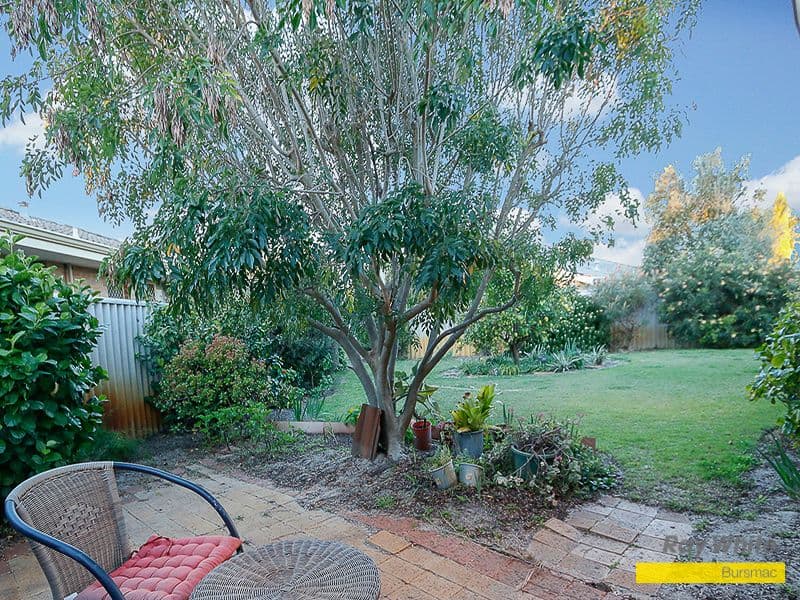 16 Gannet Trail, Ballajura WA 6066, Ballajura - Thumbnail 4