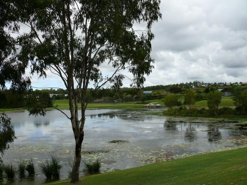 5 Excalibur Street, BERWICK, VIC, 3806, Berwick - Thumbnail 2