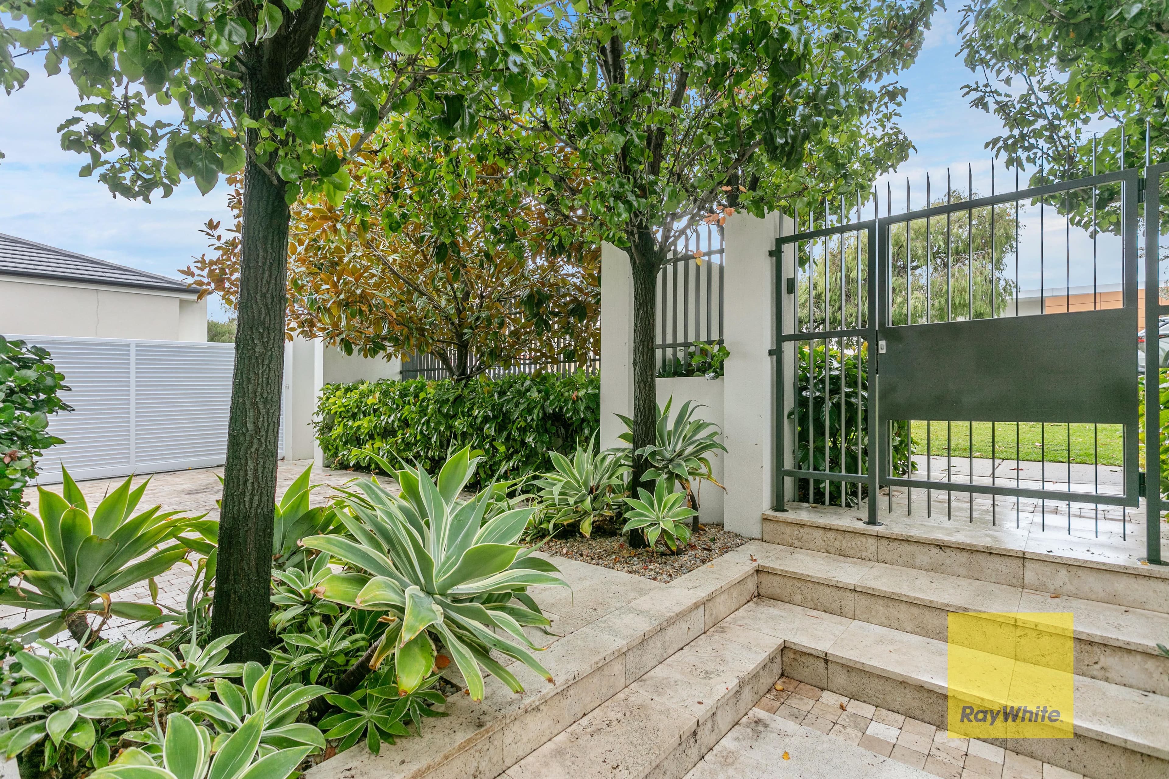 19 Chamberlain Street, Cottesloe WA 6011, Cottesloe - Thumbnail 8