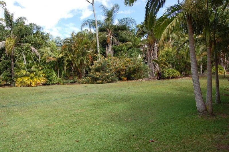 16 Livistona Drive, DOONAN QLD 4562, Doonan - Thumbnail 4