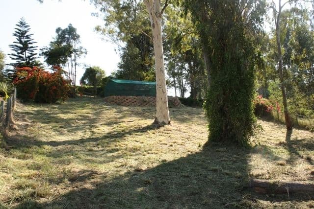 23 Stirling Street, BEAUDESERT QLD 4285, Beaudesert - Thumbnail 2