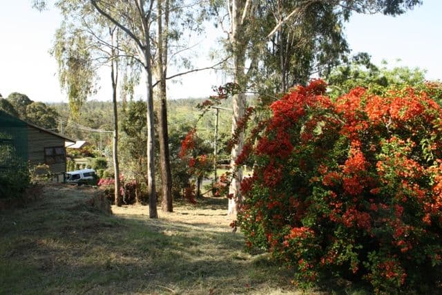 23 Stirling Street, BEAUDESERT QLD 4285, Beaudesert - Thumbnail 5