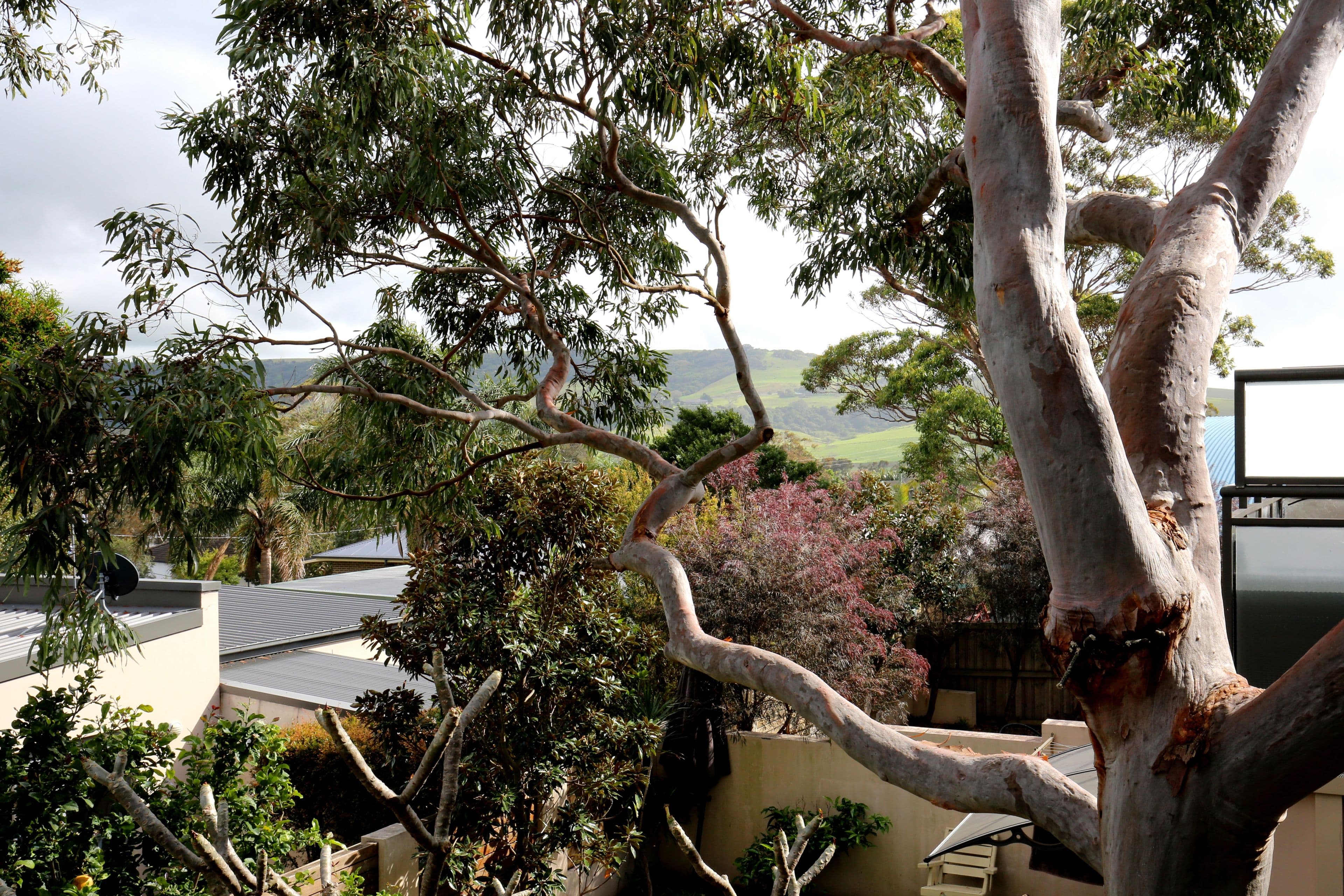 133 Renfrew Road, Gerringong NSW 2534, Gerringong - Thumbnail 7