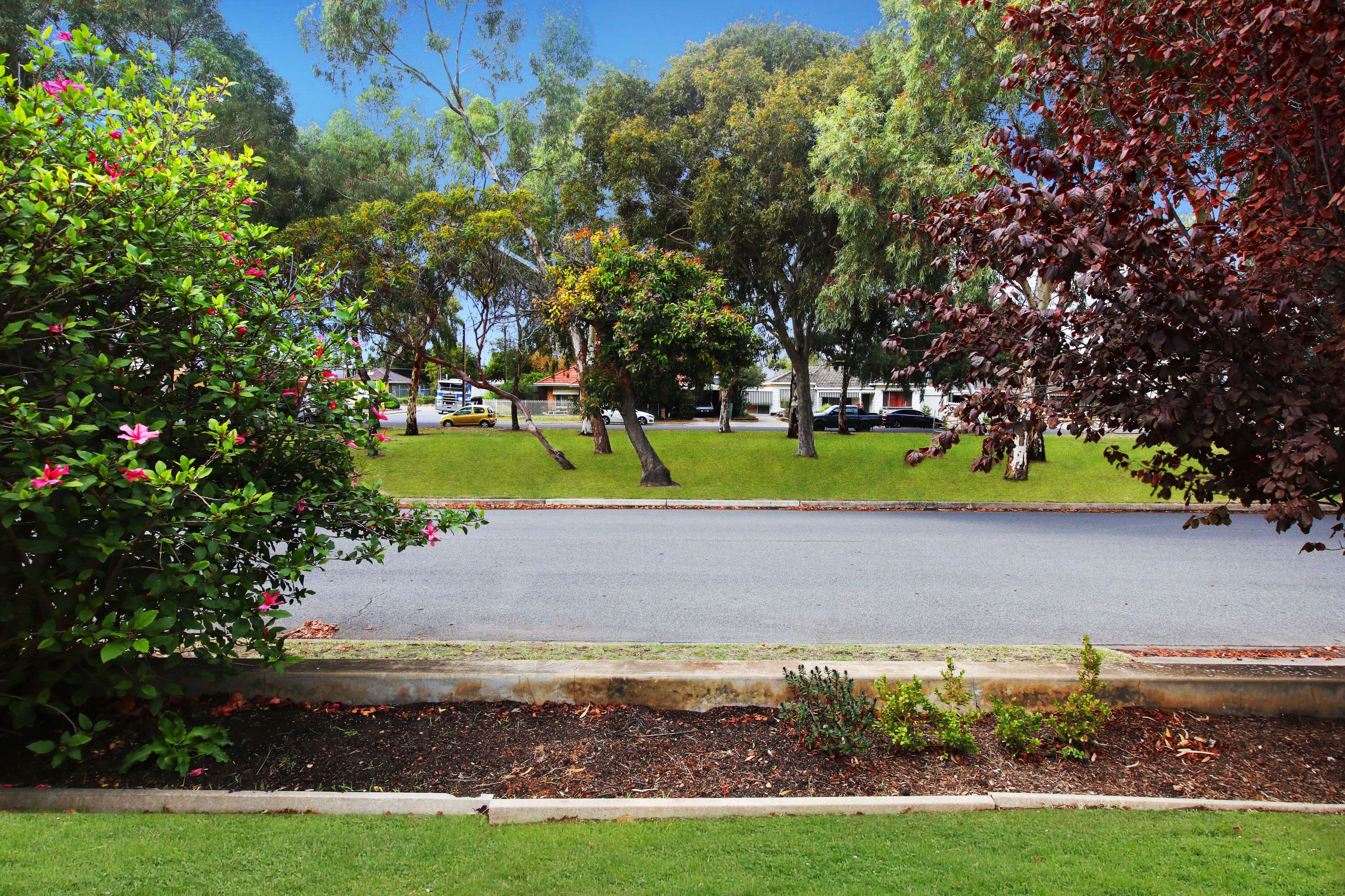 17 Wright Street, Henley Beach SA 5022, Henley Beach - Thumbnail 5