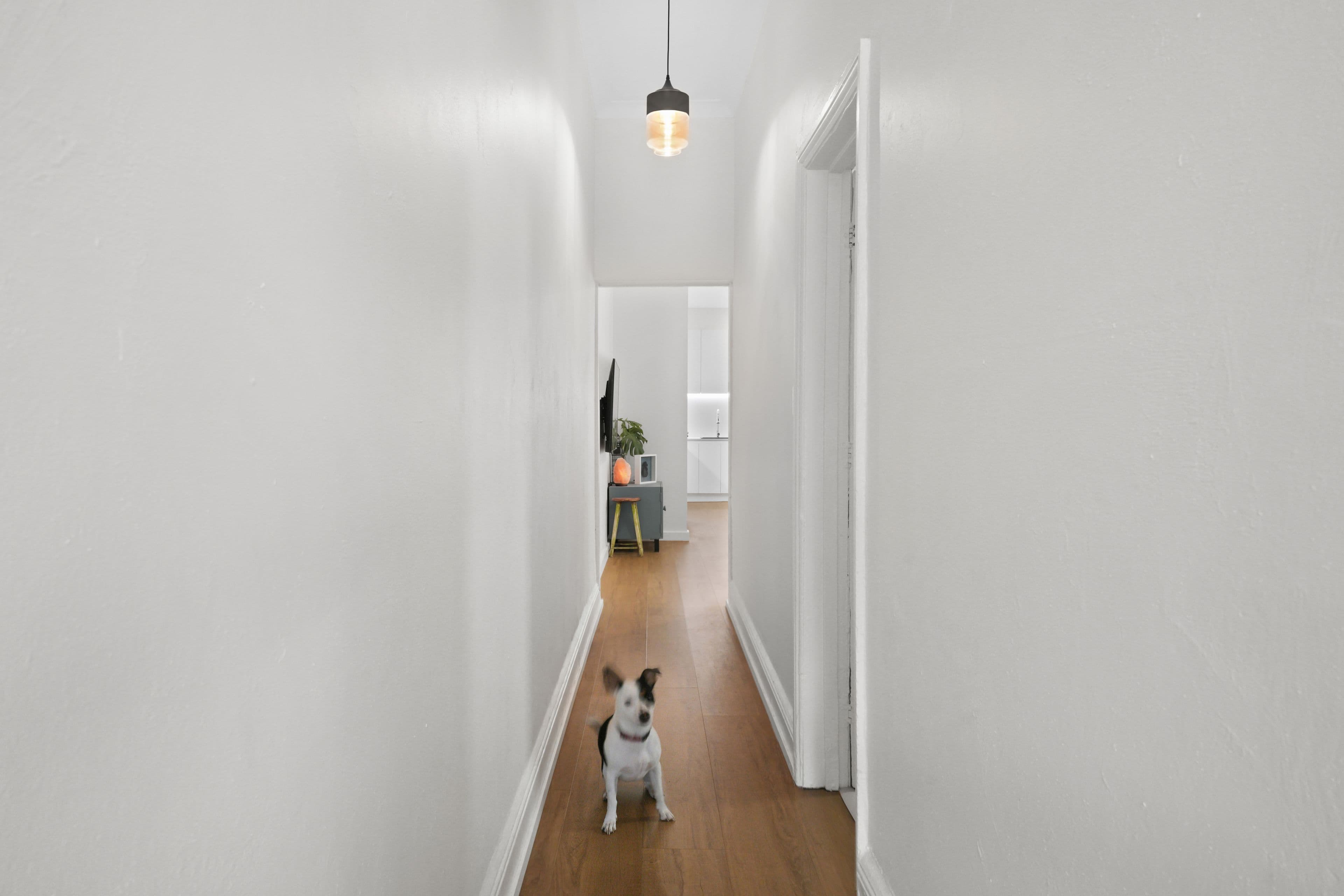 9 Newington Road, Marrickville NSW 2204, Marrickville - Thumbnail 8