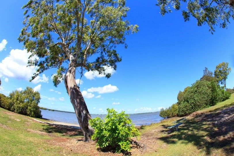 52 The Esplanade, TOORBUL QLD 4510, Toorbul - Thumbnail 8