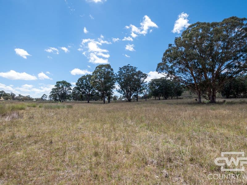 Lot 6, 2202 Wellington Vale Road, Emmaville, Emmaville - Thumbnail 4