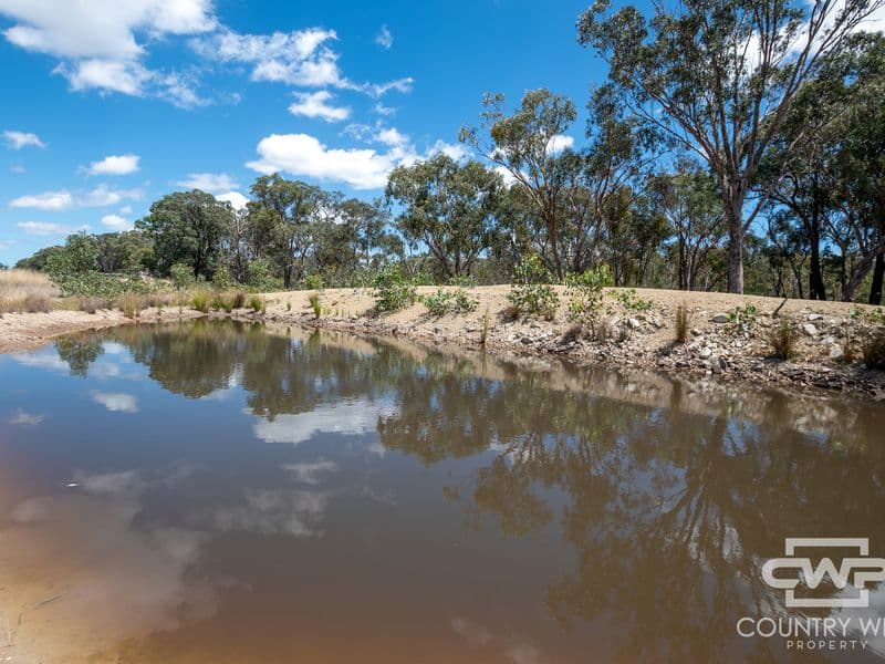 Lot 6, 2202 Wellington Vale Road, Emmaville, Emmaville - Thumbnail 5