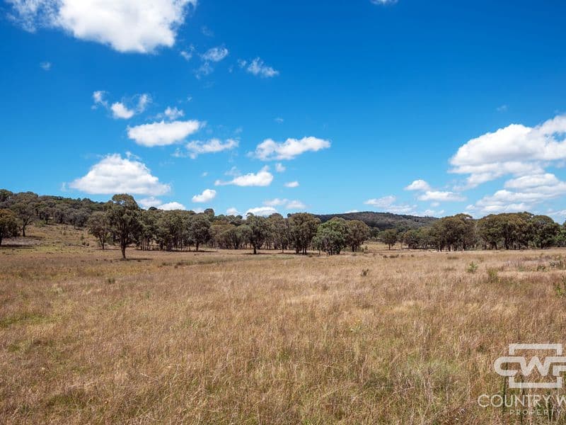 Lot 6, 2202 Wellington Vale Road, Emmaville, Emmaville - Thumbnail 7