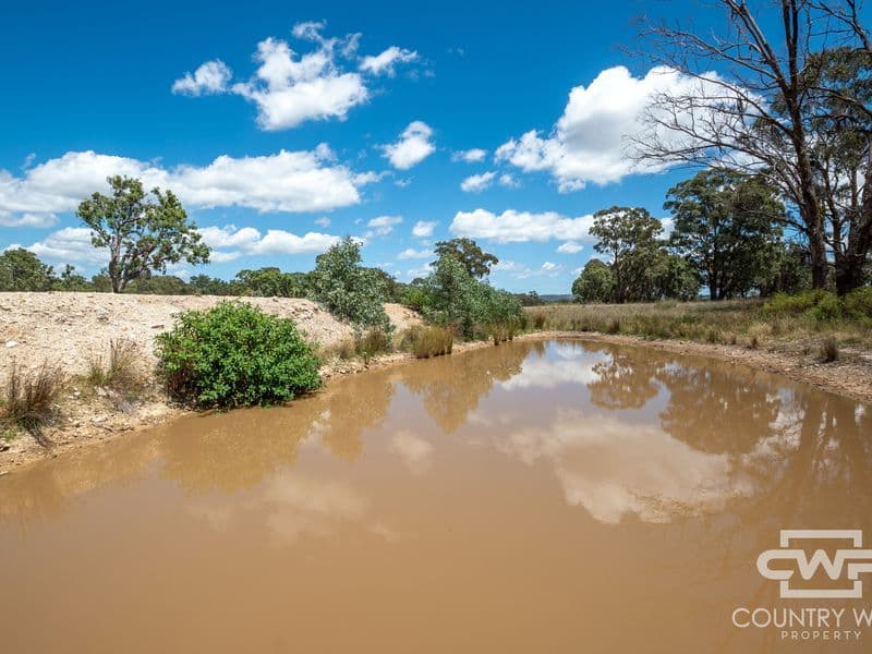 Lot 6, 2202 Wellington Vale Road, Emmaville, Emmaville - Thumbnail 8