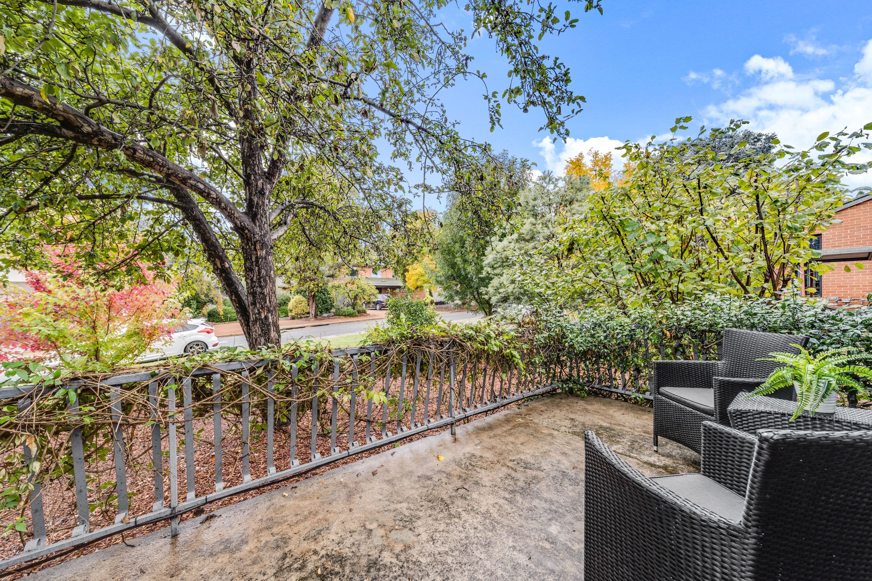 16 Molloy Crescent, Cook ACT 2614, Cook - Thumbnail 8