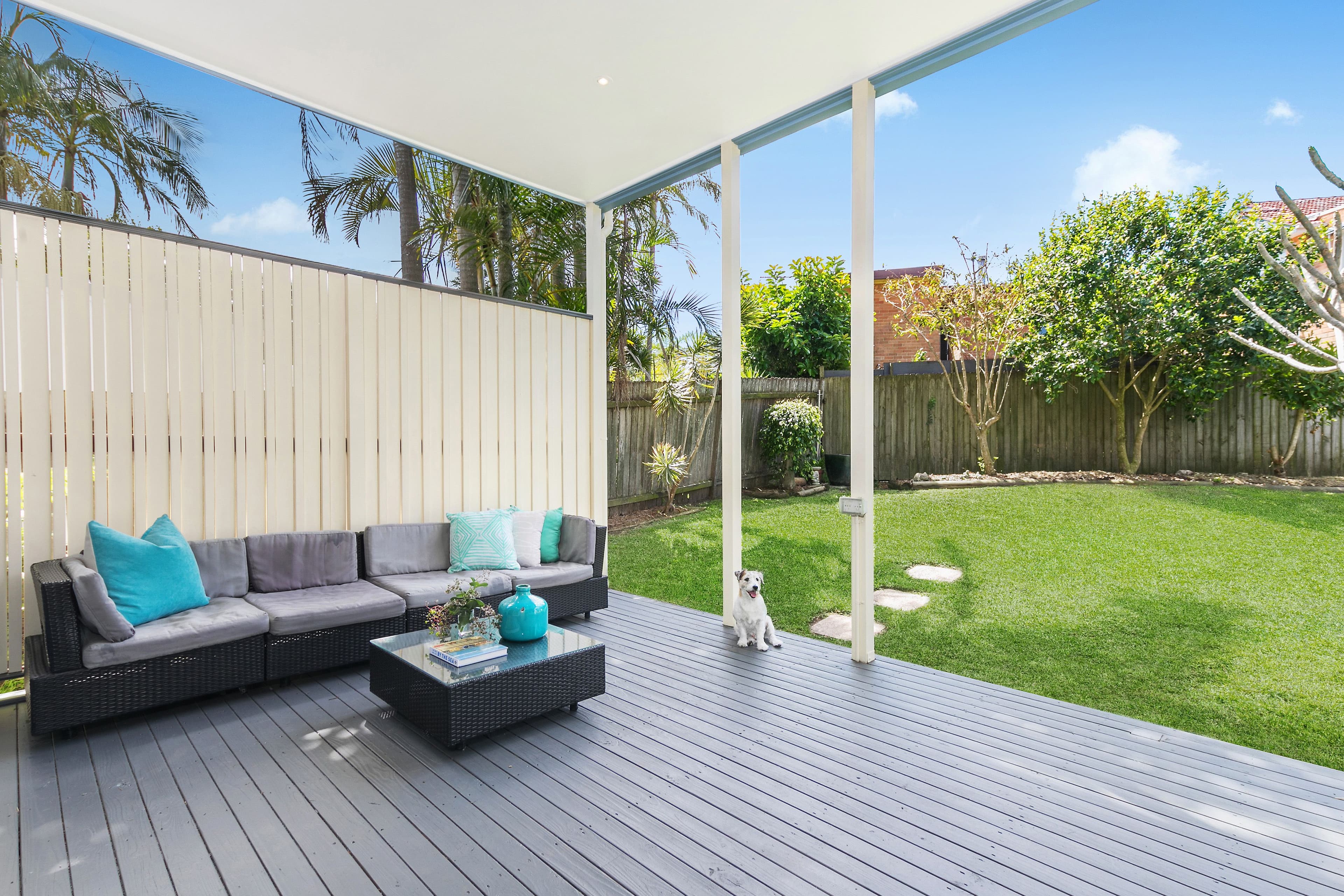 6 Evans Street, Freshwater - Thumbnail 7