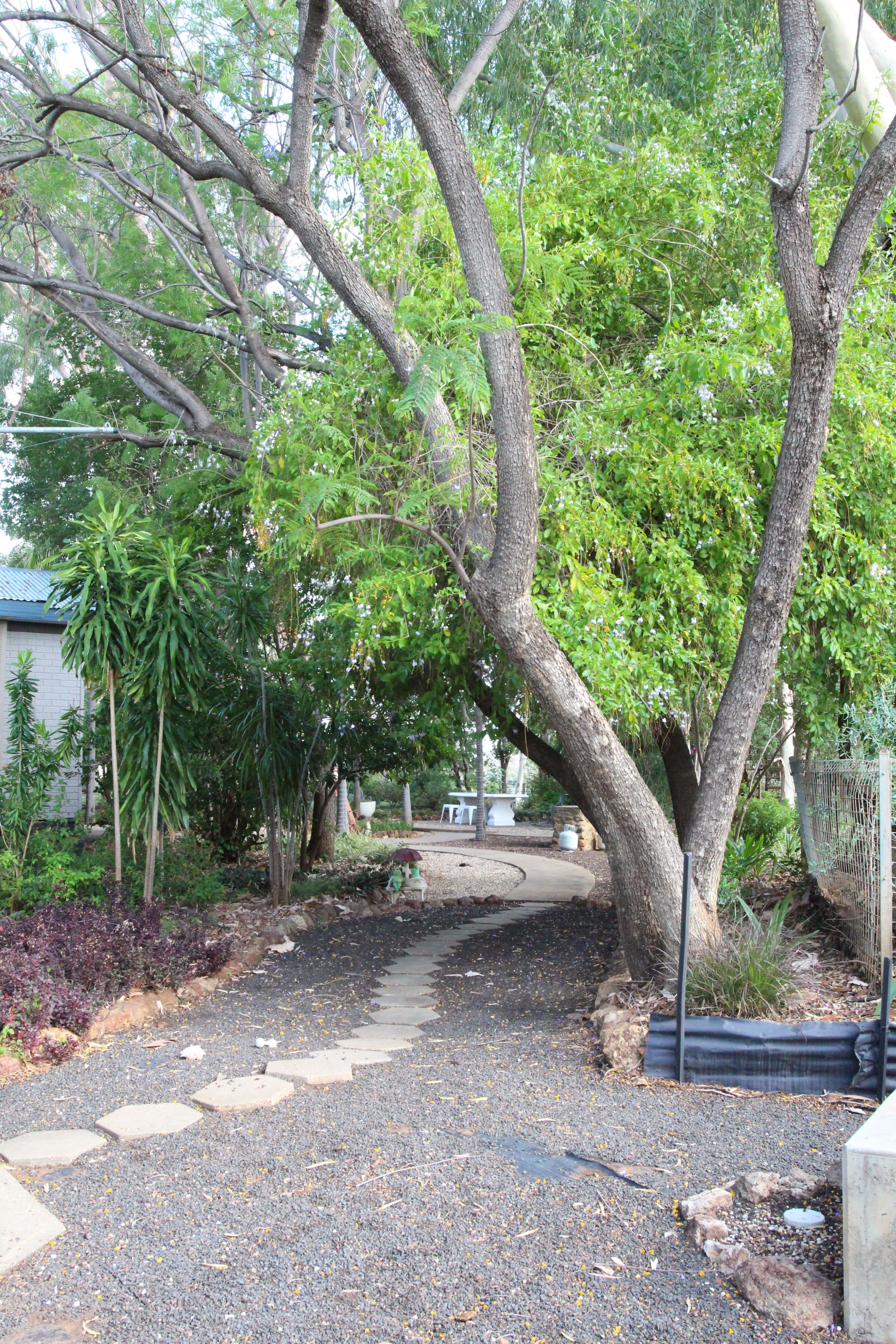 1684 Diamantina Developmental Road, Charleville QLD 4470, Charleville - Thumbnail 2