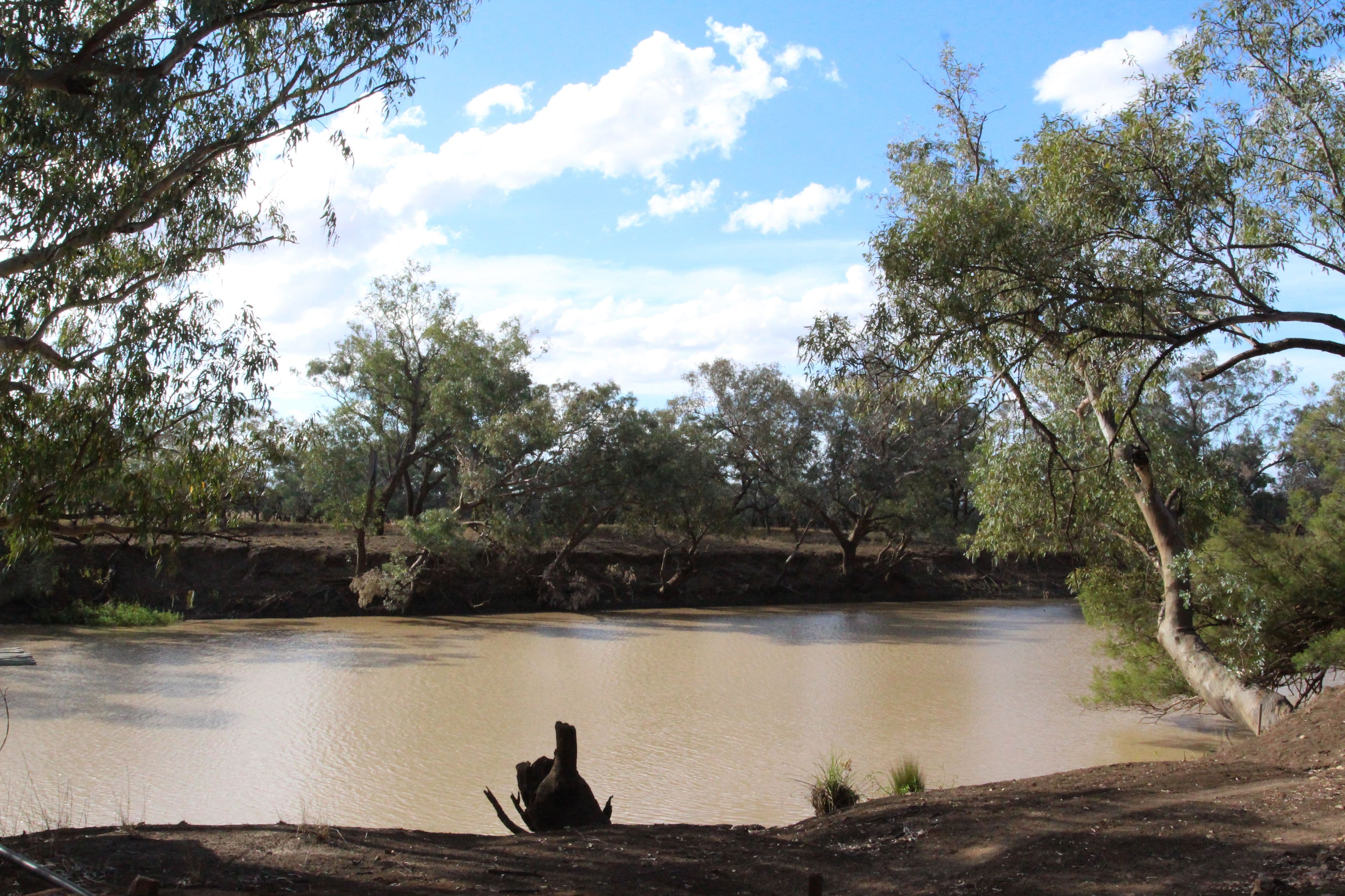 1684 Diamantina Developmental Road, Charleville QLD 4470, Charleville - Thumbnail 3
