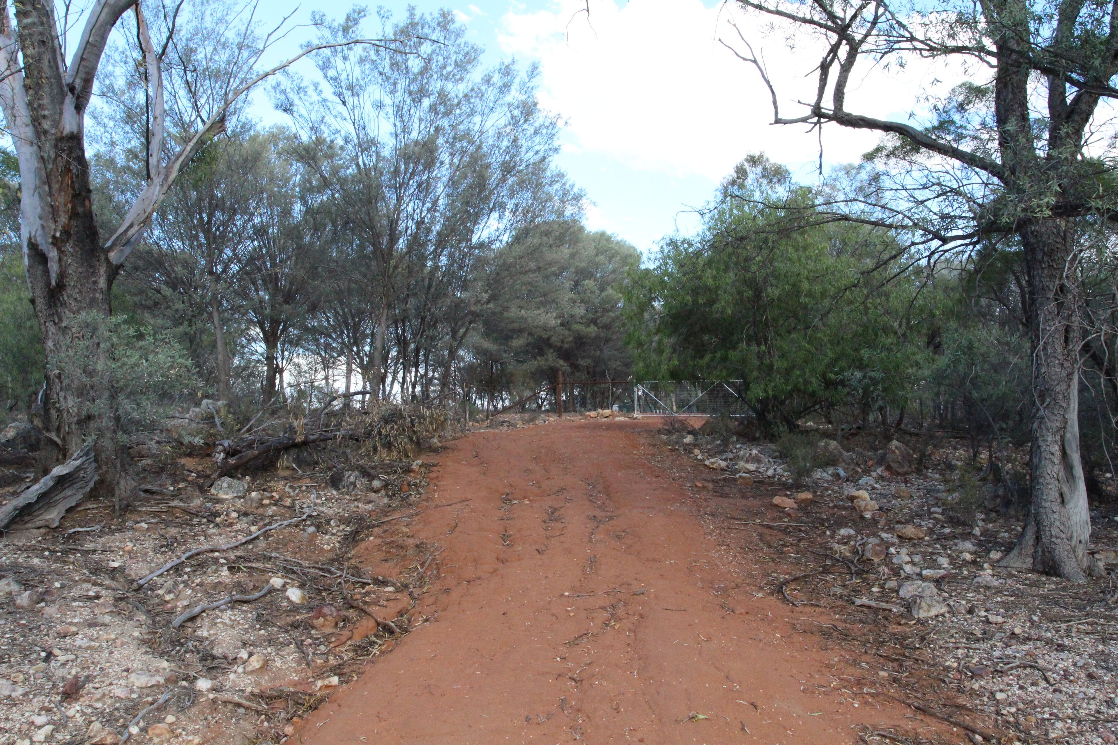 1684 Diamantina Developmental Road, Charleville QLD 4470, Charleville - Thumbnail 4