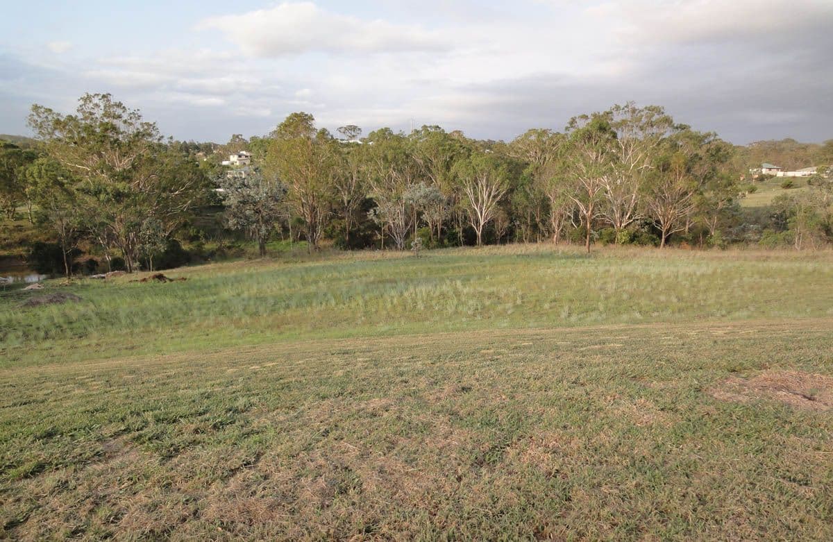 5 Lydia Place, TOP CAMP QLD 4350, Top Camp - Thumbnail 2