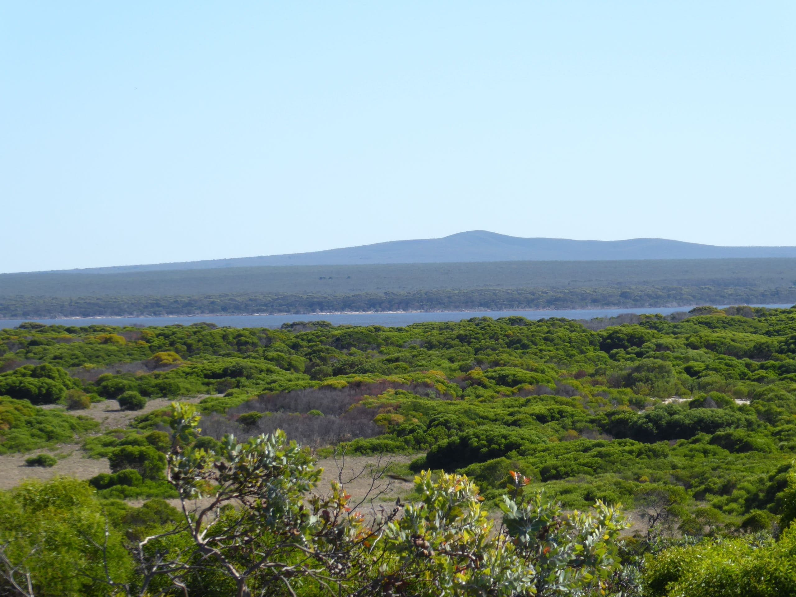 447 Hamersley Drive, Hopetoun WA 6348, Hopetoun - Thumbnail 5