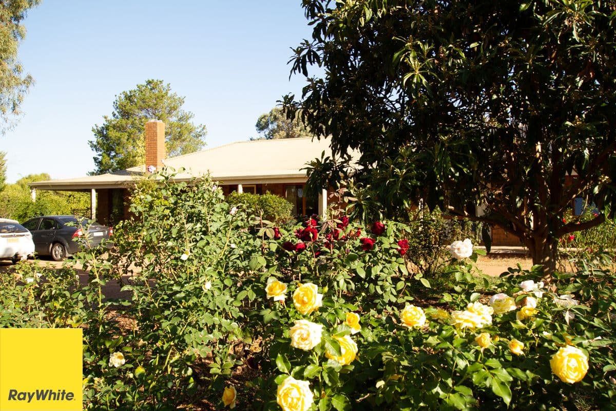 16 Vine Close, Murrumbateman - Thumbnail 6