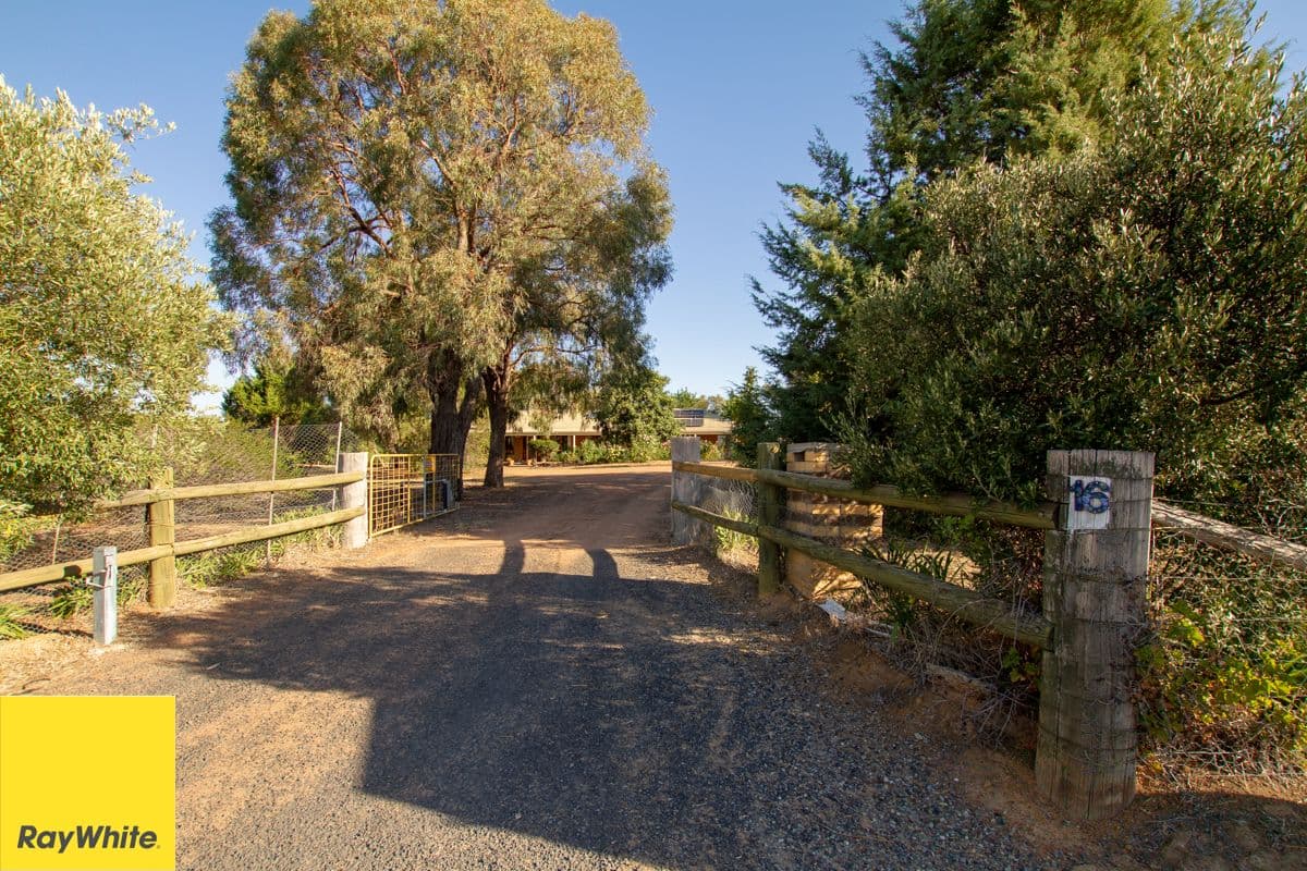 16 Vine Close, Murrumbateman - Thumbnail 8