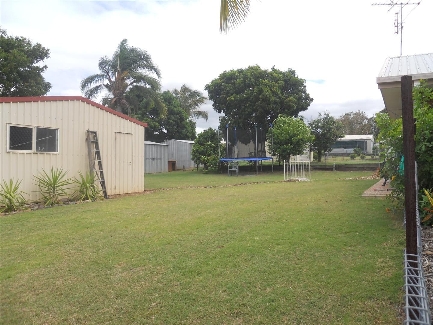 42 Cowan Street, GRACEMERE QLD 4702, Gracemere - Thumbnail 4