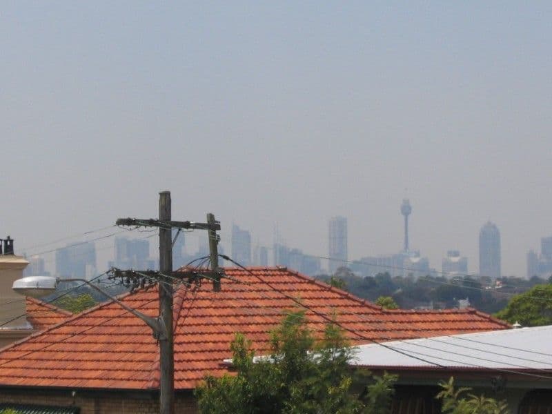 20 Dalhousie Street, HABERFIELD NSW 2045, Haberfield - Thumbnail 3